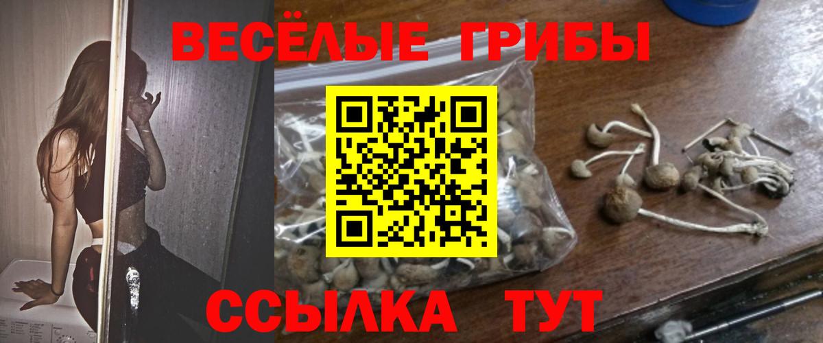 Галлюциногенные грибы Psilocybine cubensis  Вход с VPN  Галлюциногенные грибы ЛСД  Кинешма 